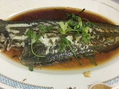 -新陶陶酒家