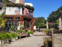 -一棵树·意大利西餐厅One Tree(新城店)