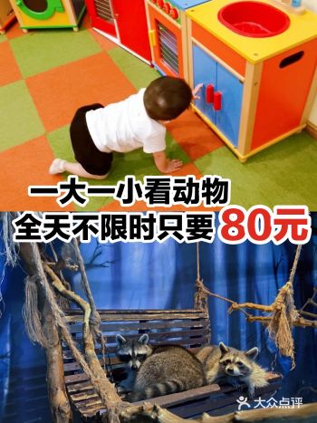 一大一小看动物，全天不限时只要80元！
