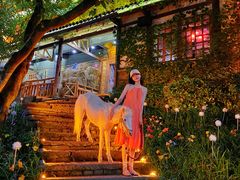 -巴倒烫陆派火锅山庄(南山总店)