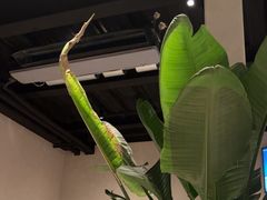 -漆黑觉米粉(三里屯店)