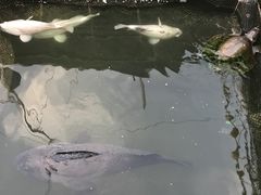 -蓝湾碧波·老字号·疍家非遗海上餐厅