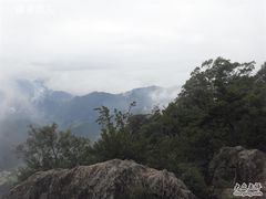 -王顺山国家森林公园