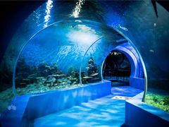 -石林冰雪海洋世界