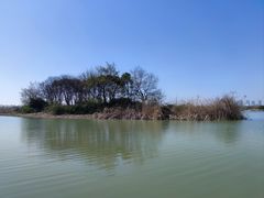 -贡湖湾湿地公园