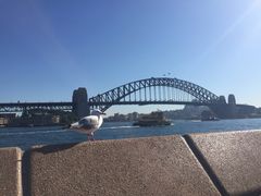 -悉尼歌剧院