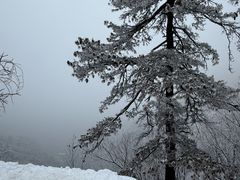 -秦岭终南山世界地质公园翠华山景区