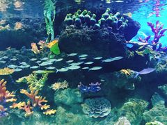 -华夏文旅海洋公园