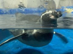 -太平洋海底世界