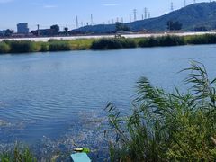 -门城湖公园
