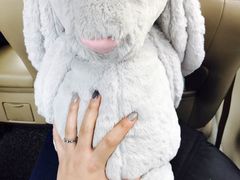 -PAWTOY爪e玩偶店(天兴罗斯福店)