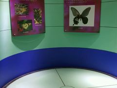 -上海昆虫博物馆