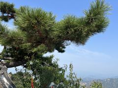 -天津盘山风景名胜区
