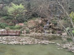 -铁山坪森林公园