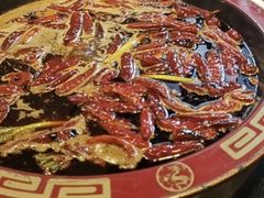 牛油红汤中锅-叉叉裤鲜火锅(空港新城店)