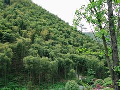 -中国大竹海景区