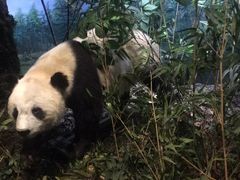 -陕西自然博物馆