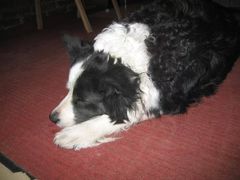 -哈尔滨北方国际青年旅舍(中央大街店)