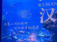 -海合安武汉极地海洋公园