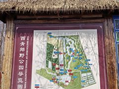 -西青郊野公园