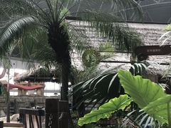 -渔岛海洋度假区