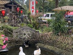 -青城甲(青城山店)