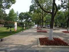 -青枫公园