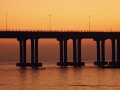 -宝安西湾红树林湿地公园