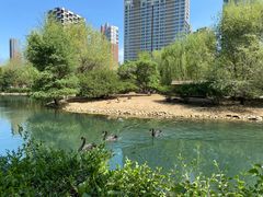 -长白岛森林公园