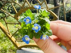 -木塔寺遗址生态公园