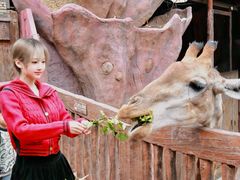 -长鹿旅游休博园