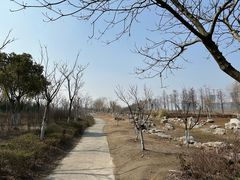 -春花秋色城市公园