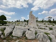 -原山国家森林公园