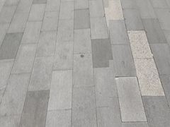 -靓靓蒸虾·头牌蒸虾(雪松路总店)