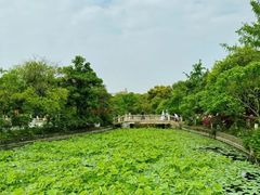 -成都南湖公园
