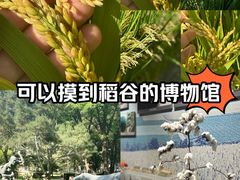 -中国农业博物馆