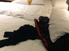 -成都宽窄巷子奎星楼街亚朵X酒店