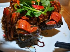 -呼吸森林·生态农庄农家乐私房菜