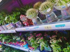 -沃尔玛购物广场(中山店)