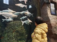 -哈尔滨波塞冬海底世界