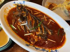 酱焖黑鱼-姜家味锅贴小海鲜