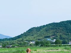 -四明湖
