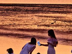 -宝安西湾红树林湿地公园