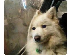 -小玩家儿童主题乐园(世茂广场店)