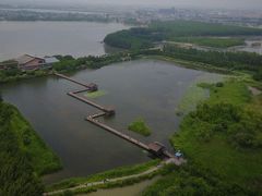 -溱湖国家湿地公园