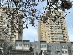 -罔极寺