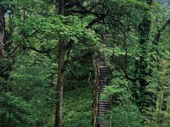 -龙苍沟森林公园