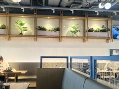 -翡翠拉面小笼包Crystal Jade(上海浦东国际机场T1店)