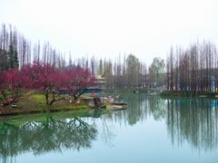 -秀丽东方