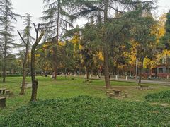 -四川大学(望江校区)